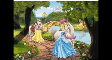 Disney Behang Royal Gala fotobehang
