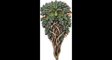 Nemesis Now Muurdecoratie - All Seeing Oak - Green Man - Tree Spirit - Multicolours