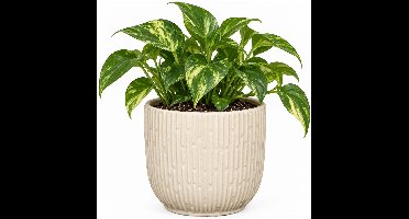Mica Decorations Plantenpot - bloempot - keramiek - mat wit - D19 - H18 cm