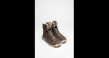 Renegade EVO ICE GTX Ws Dames (Steen/Champagne)