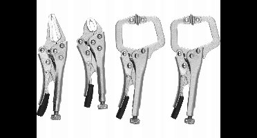 Mini Lastangere Set van 4 - Precision Staal A3 Nikkel 0-25mm