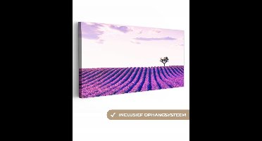 OneMillionCanvasses - Canvas - Schilderij - Lavendel - Boom - Lucht - Paars - Bloemen - Canvas bloemen - Foto op canvas - 40x20 cm - Muurdecoratie