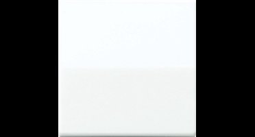 Jung AS500 Schakelelement/Centrale Plaat - AS591BFWW - E32RF