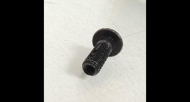 Bout M10 spoed 125 30mm voor motor Yamaha 125 TZ 1996 tot 1997 90105-10725 Nieuw