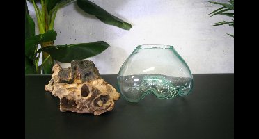 Decoratieve vaas Silvana