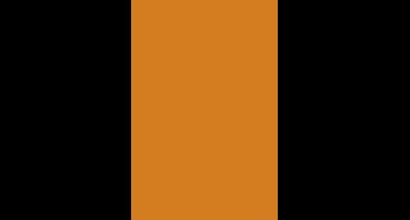 Folia Fotokarton terracotta 50X70-300G