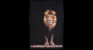Canvas Schilderij Leeuw