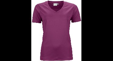 James and Nicholson Dames/dames Actief V Hals T-Shirt (Paars)