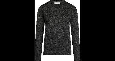 Steppin' Out Dames Pullover V-hals Merinowol Antraciet - Maat XL - Heren - Pullovers