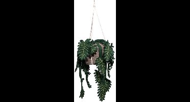 KidsDepot Hangplant Philo Vilt - Sierplant - Kunstplant - Kinderkamer of woonkamer
