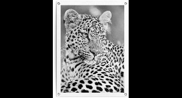 Tuinposter Luipaard - 80 x 60 - Canvas - REINDERS