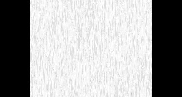 GRAFISCH BEHANG | Modern - wit - A.S. Création Black&White 4