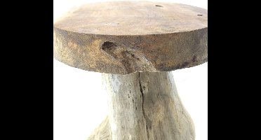 Van der Leeden kruk teak boomwortel diameter 40 cm