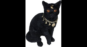 Mystieke zwarte kat – Halloween-decoratie 28 x 23 cm