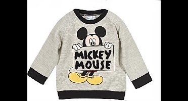 Disney Mickey Mouse sweater - grijs - maat 74 (12 maanden)