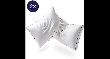 Zelesta PillowFight 50x60x10cm