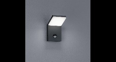 TRIO PEARL - Wandlamp - Antraciet - incl. 1x SMD 8 W - Dimbaar met schakelaar - Niet extern dimmerbaar - Geheugenfunctie - Buitenverlichting - IP54
