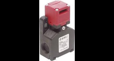 Pizzato Elettrica FW 3392-M2 FW 3392-M2 Veiligheidsschakelaar 250 V/AC 6 A Gescheiden bediening Moment IP67 1 stuk(s)