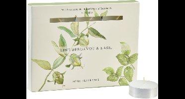 Geurkaarsen limoen bergamot basilicum Ø3,5cm 12 st