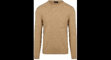 Steppin' Out Trui Merinowol Beige - Maat L - Heren - Pullovers