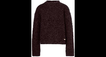 Beaumont Petrona Pullover Truien & vesten Dames - Sweater - Hoodie - Vest- Bruin - Maat L