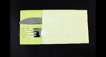 Airlaid Bestekhoes Decor Bamberg Groen 25 Stuks 40x40cm