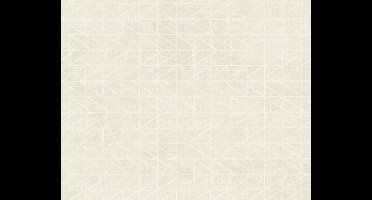 Beige Modern Grafisch Vliesbehang - AS Creation Ethnic Origin