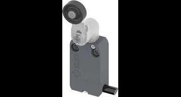 Pizzato Elettrica NF B112KG-DN2 NF B112KG-DN2 Eindschakelaar 250 V/AC 4 A Zwenkbare rolhendel Moment IP67 1 stuk(s)