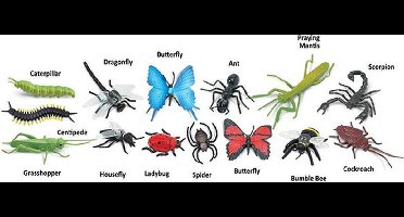 Speelfiguren Insecten Toob - Safari Ltd 14 stuks