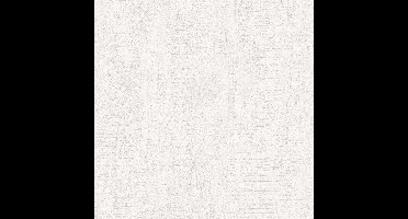 BETONLOOK BEHANG | Industrieel - wit - A.S. Création Elements