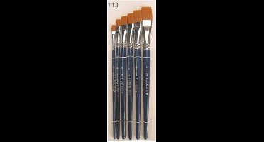 PXP Professional Colours penselenset in etui 6 stuks