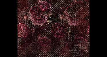 Komar - Fotobehang - Rouge - Intense - 350x280 - cm