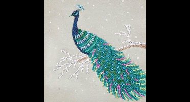 Crystal Card Kit | Diamond painting Pretty Peacock