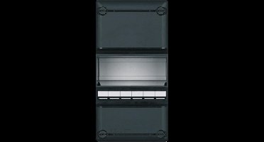 Eaton installatiekast leeg 55, zwart, (hxbxd) 220x110x79mm, DIN-rail