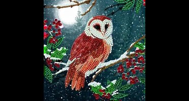 Crystal Card Kit | Diamond painting Barn Owl