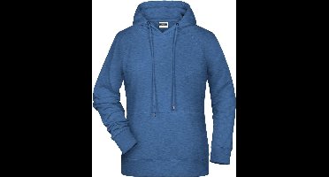 James and Nicholson Dames/dames Raglan Sleeved Hoodie (Licht Denimmelange)