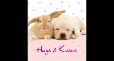 Studio Pets by Myrna - Wenskaart Hugs & Kisses - 14 x 14 cm - Blanco Binnenkant - Inclusief Envelop