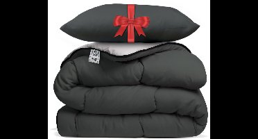 Avenue – Dekbed zonder overtrek 140x200 cm Antraciet/Taupe + Hoofdkussen 60x70 cm Antraciet – Hoesloos – Anti-allergisch & wasbaar op 60°C – All Year comfort slaapbundel