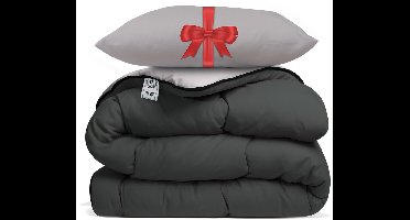 Avenue – Dekbed zonder overtrek 140x200 cm Antraciet/Taupe + Hoofdkussen 60x70 cm Taupe – Hoesloos – Anti-allergisch & wasbaar op 60°C – All Year comfort slaapbundel
