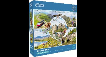 Gibsons - Snowdonia - Richard Macneil - 1000 stukjes - 68×49cm - Legpuzzel voor Volwassenen