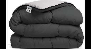 Avenue - Luxe en makkelijk dekbed zonder overtrek – Hoesloos Lits-jumeaux dekbed 240x220 cm – Anti-allergisch & hygiënisch – Wasbaar op 60°C – Wolkenzacht en soepel – Antraciet/Taupe-grijs – All Year comfort zomerdekbed & winterdekbed