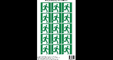 Pictogram sticker E002 Nooduitgang rechts - 50x50mm 15 stickers op 1 vel