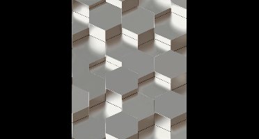 Galactik 3D zeshoek zilver L970-09