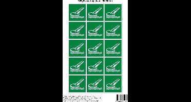 Pictogram sticker E054 Evacuatieglijbaan - 50x50mm 15 stickers op 1 vel