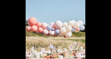Ballonnenboog Kit Blush