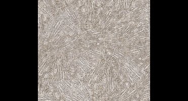 RETRO BEHANG | Grafisch - beige metallic - A.S. Création Titanium 3