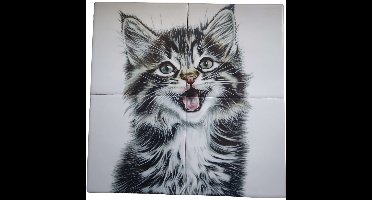 MadDeco Nederlands fabrikaat Maincoon kitten op plateau van 4 tegels Friese Witjes 13 x 13 cm per tegel