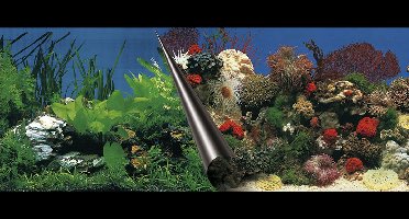 Ebi Foto Achterwand - Stone & Coral - 50 cm