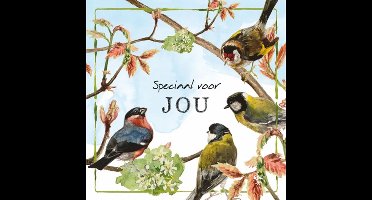 Rien Poortvliet Wenskaart Speciaal voor JOU – Tuinvogels – 13,5 x 13,5 cm