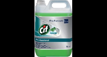 Cif allesreiniger dennenfris, fles van 5 liter 2 stuks
